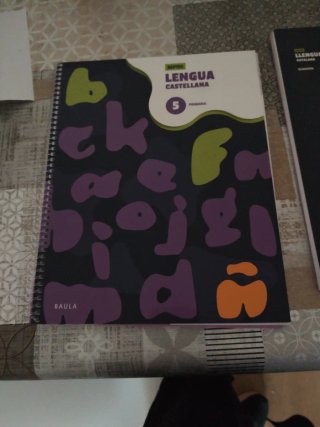 Cuaderno de Lengua castellana 5 Primaria - Reptes
