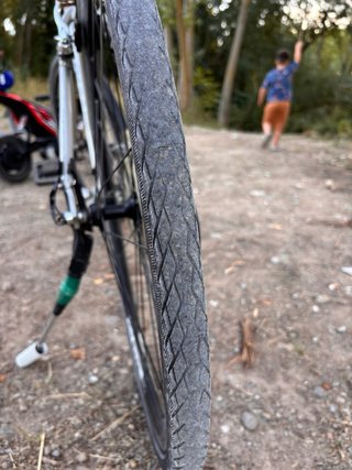 Bicicleta Giant Gris Talla L