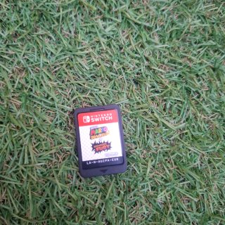 Super Mario 3D World + Bowser's Fury Switch