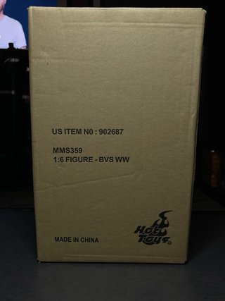 1/6 Hot Toys  Wonder Woman BVS