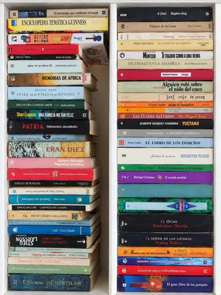 Vendo amplio lote de más de 100 libros de distinto