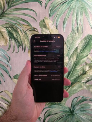 iPhone 16 Pro Max color Desierto