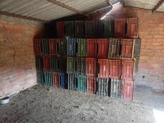 Cajas de plástico para recolección