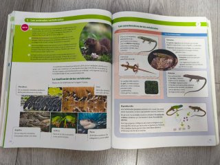 BIOLOGIA Y GEOLOGIA ARAGON 1 ESO CONSTRUYENDO M...