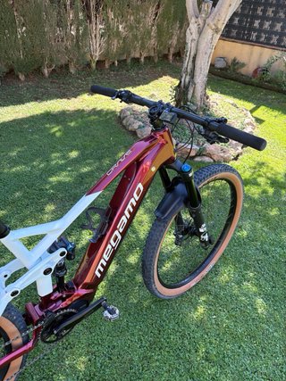 Megamo Crave AL 40 LTD Mejorada FoX