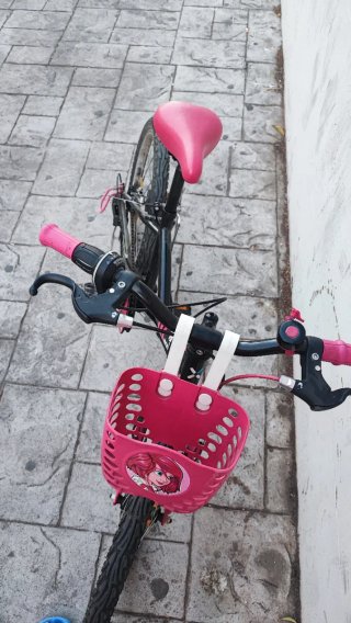 Bicicleta Infantil 22 Rosa y Negra