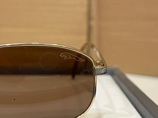 Gafas de sol Jaguar Marrón y Dorado