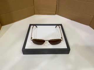 Gafas de sol Jaguar Marrón y Dorado