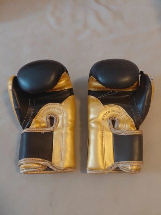 Guantes de Boxeo El Bronx 6 oz Niños
