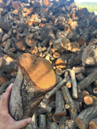 Leña de almendro para chimenea