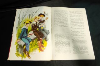 Libro Corazón - Edmondo De Amicis