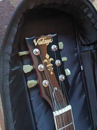 Guitarra Eléctrica Estilo 335