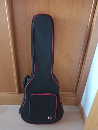 Guitarra Eléctrica Estilo 335