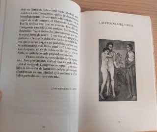 Picasso 30 visiones