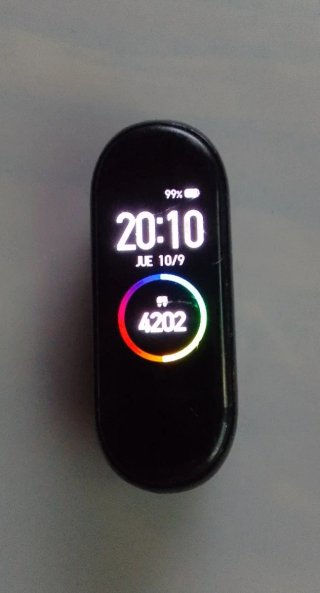 Xiaomi Mi Band 4 Negra