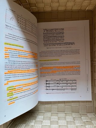 Expressió musical a primària