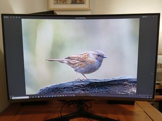 Monitor Curvo 32 WQHD 144Hz