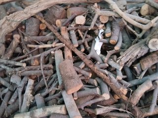 Leña de varios árboles para combustible
