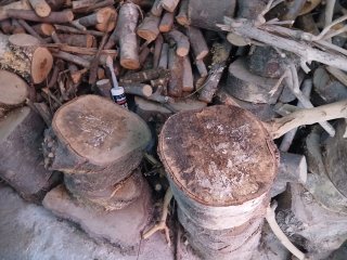 Leña de varios árboles para combustible