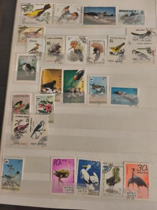 Lotes Temáticos Sellos Internacionales