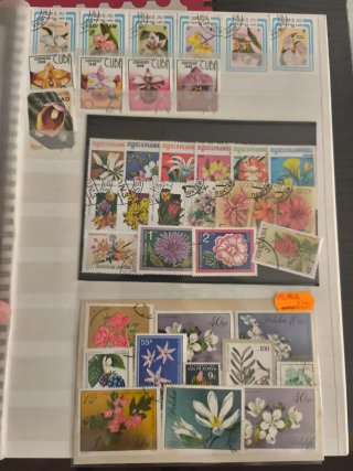 Lotes Temáticos Sellos Internacionales