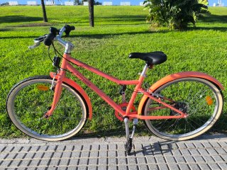 Bicicleta Paseo Riverside 20