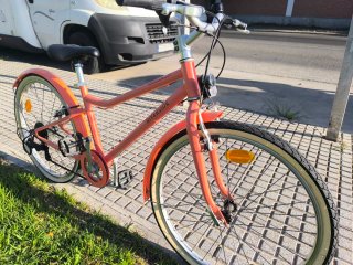 Bicicleta Paseo Riverside 20