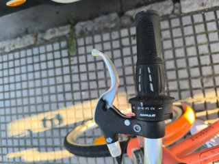Bicicleta Paseo Riverside 20