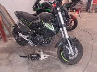 Benelli TNT 125 Negra y Verde