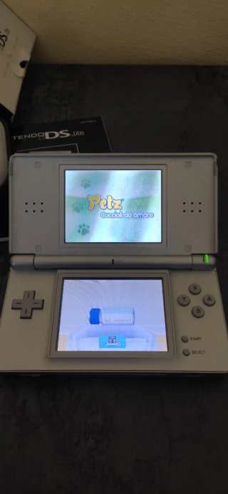 Nintendo DS Lite Silver + Giochi
