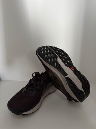 Nike Pegasus Trail 5 Marrón/Gris Nuevas