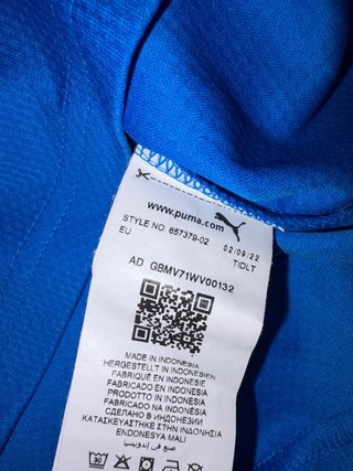 Camiseta Alavés Entrenamiento Puma Azul