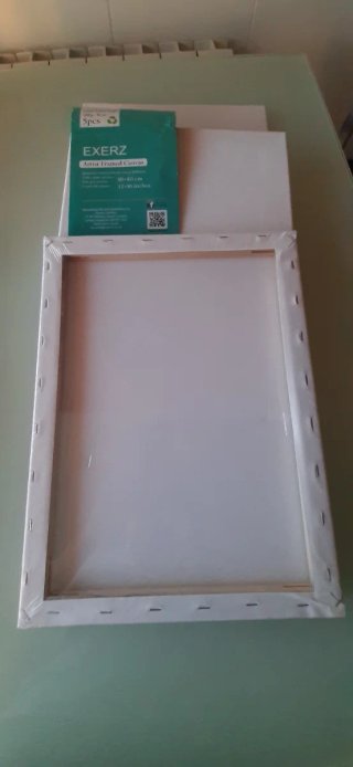 Lienzos para pintar EXERZ 3 uds 30x40cm