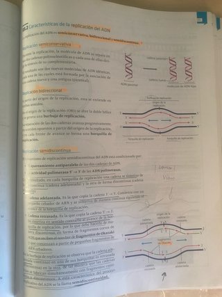 Libro de Biología Edelvives 2 BACH