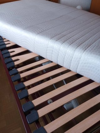Cama articulada con colchón