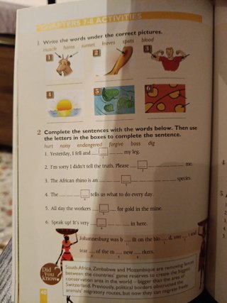 Libro "All about South África" 4° ESO