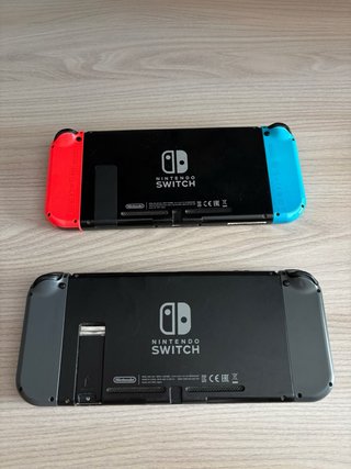 Due Nintendo Switch