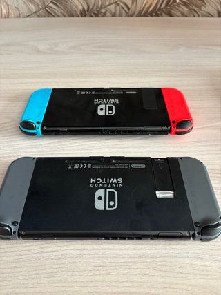 Due Nintendo Switch