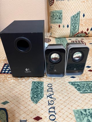 Altoparlanti PC Nero e Grigio