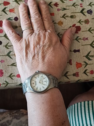 Reloj pulsera Swiss Military Hanowa color plata
