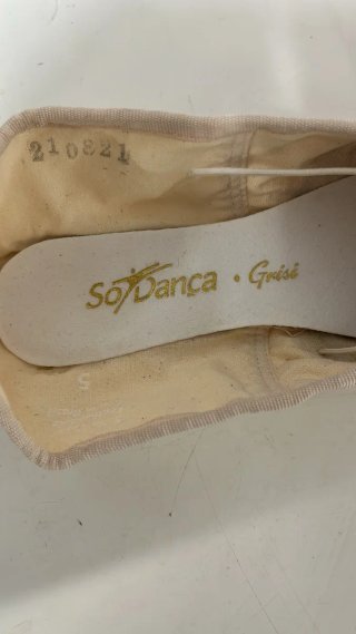 Zapatillas de punta de ballet