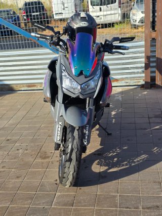 Kawasaki Z1000 2010 Gris Morado