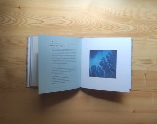 Zen: textos para la meditación (Budismo/filosofía)