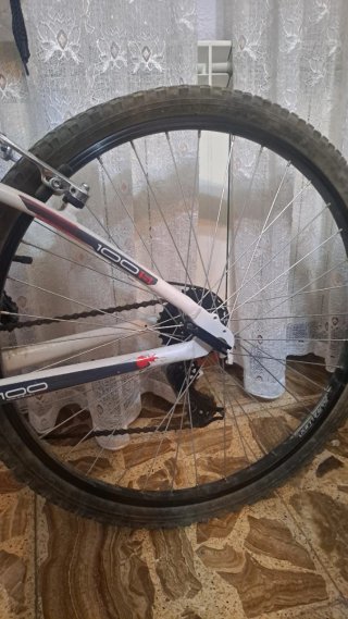 Bicicleta de paseo 100
