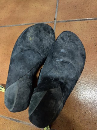 Pies de Gato Simond