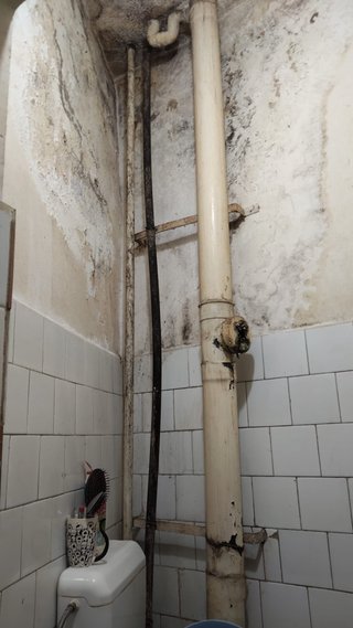 SE NECESITA PROFESIONAL DE ALBAÑILERÍA / MANITAS