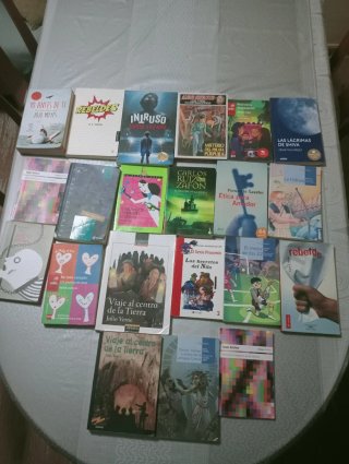 Libros de lectura primaria y secundaria castellano