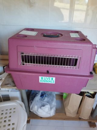 Transportín Petmate Vari Kennel Morado
