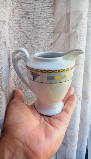Juego de té/café Bavarian Porzellan