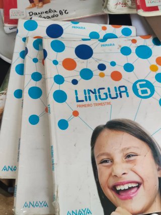 Libro 6 primaria